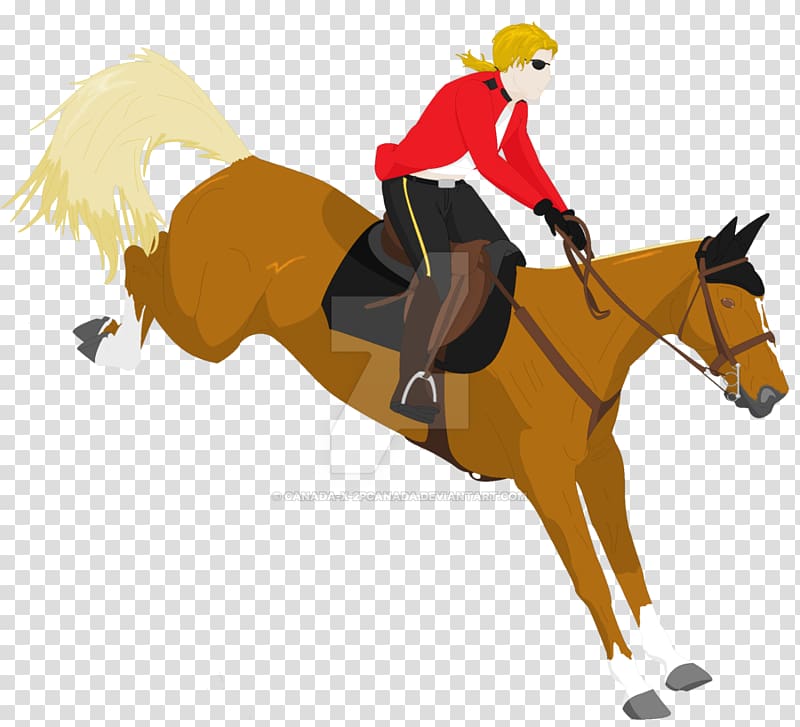 Mustang Canada Pony English riding Rein, swedish warmblood horse head transparent background PNG clipart