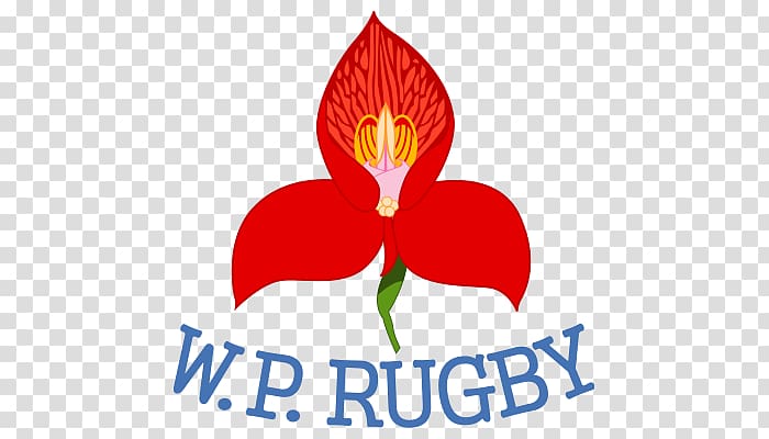 Western Province Currie Cup Vodacom Cup Stormers Free State Cheetahs, National Primary School transparent background PNG clipart
