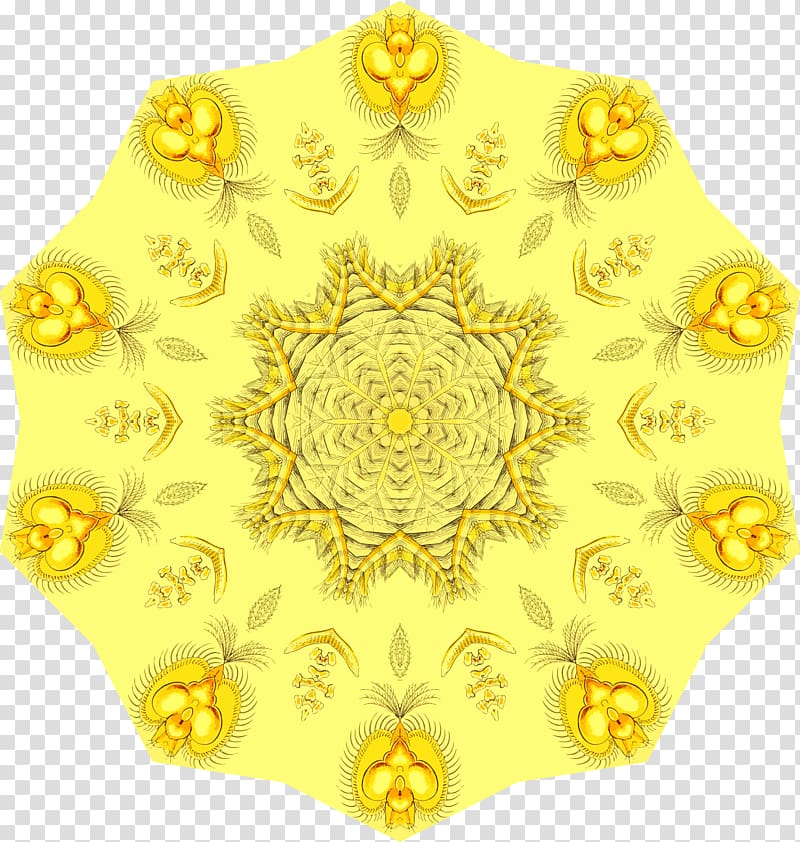 Circle Rotational symmetry, gold flourish transparent background PNG clipart