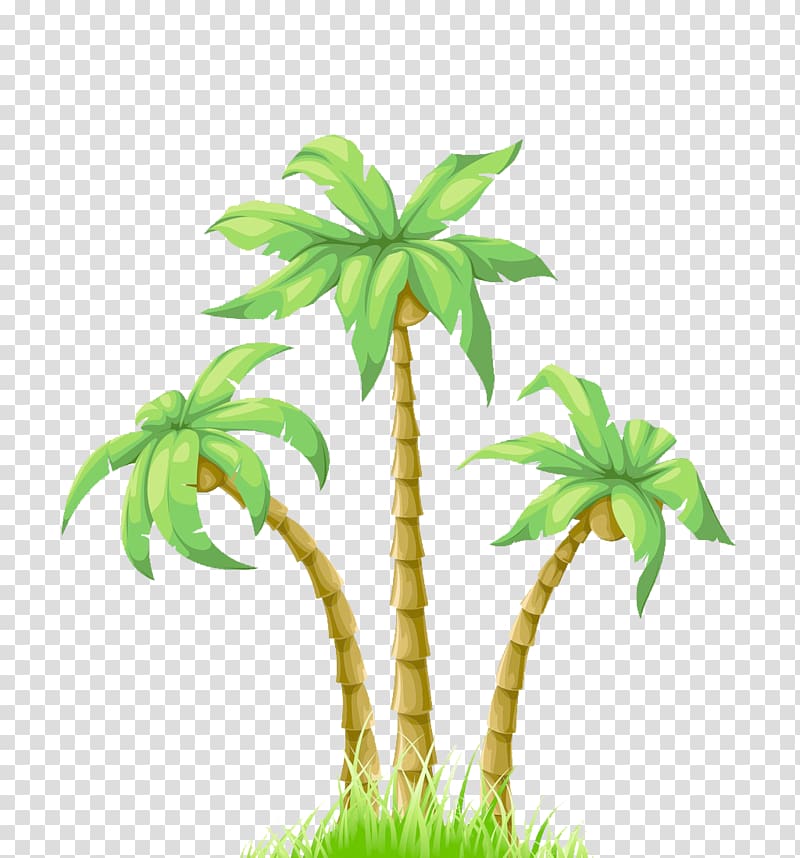 Cartoon Poster Coconut, Summer illustration palm tree transparent ...