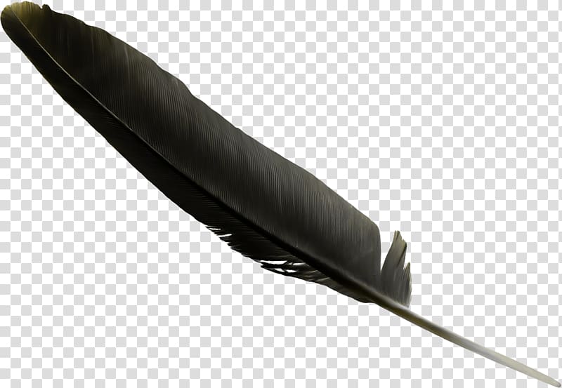 Feather Black , Black Feather transparent background PNG clipart