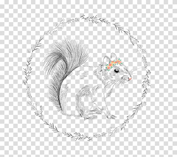 Whiskers Tree squirrel Rodent , Hand-painted squirrels transparent background PNG clipart