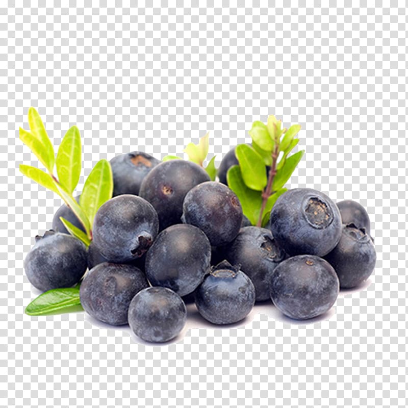 Juice Smoothie Vaccinium corymbosum Health Amora, Blueberry purple transparent background PNG clipart