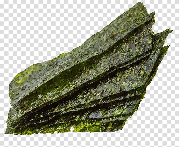 Algae Nori Seagrass Spinach Food, alg transparent background PNG clipart