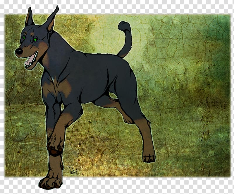 Dobermann Miniature Pinscher German Pinscher Manchester Terrier English Toy Terrier, Doberman transparent background PNG clipart