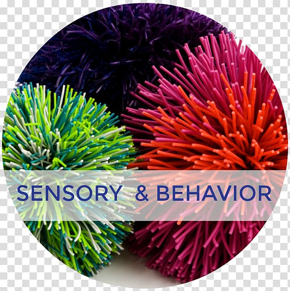 Sensory nervous system Sensory processing Sense Vestibular system, Tactile Handwriting Ideas transparent background PNG clipart
