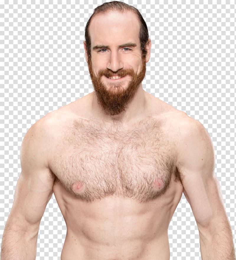 Aiden English WWE SmackDown Tag Team Championship Clash of Champions (2017) SummerSlam, english transparent background PNG clipart