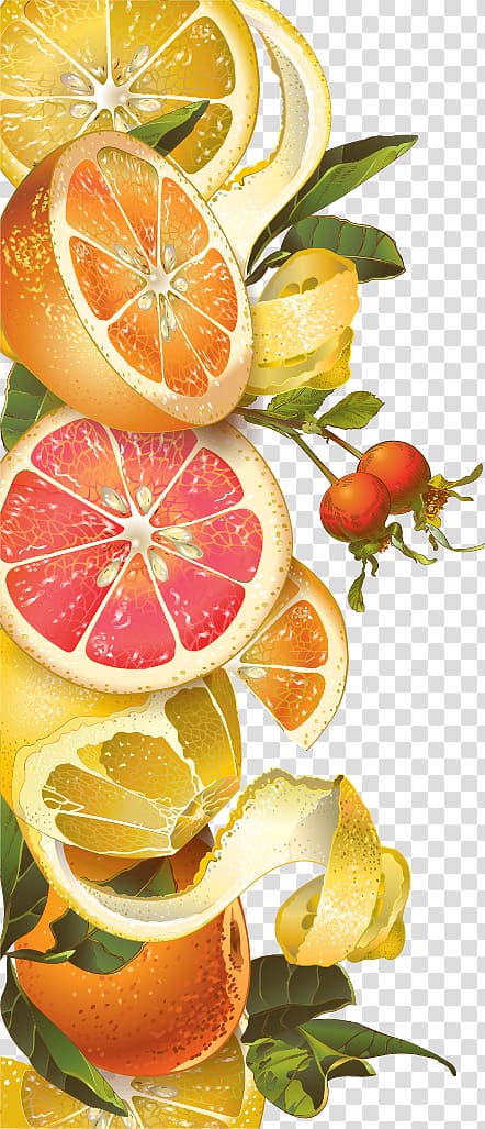 sliced oranges illustration, Juice Tea Lemon Grapefruit Berry, background retro orange lemon honey transparent background PNG clipart