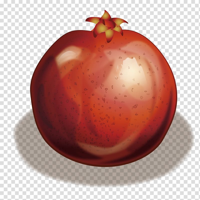 Tomato Pomegranate Fruit, red pomegranate transparent background PNG clipart