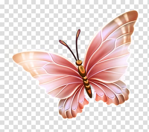 Paper Butterfly , butterfly transparent background PNG clipart