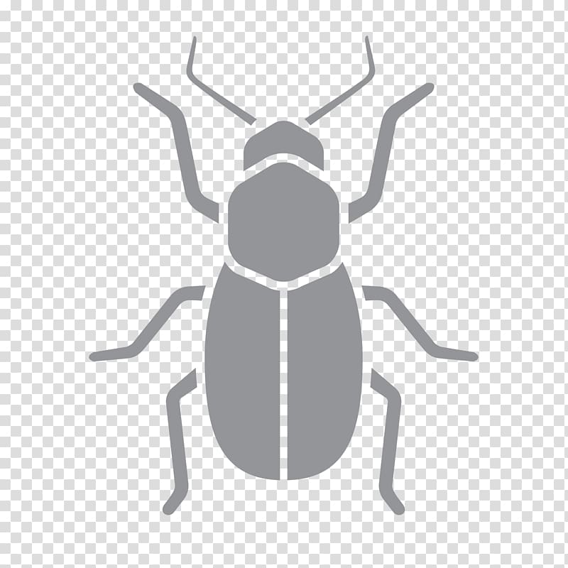 Insect Pest Control Wasp Exterminator, insect transparent background PNG clipart