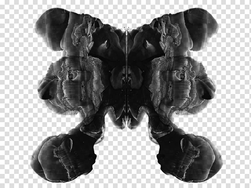 Rorschach test Ink blot test Flowers for Algernon, blot transparent background PNG clipart