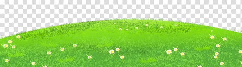 , Grass with Daisies , green grass illustration transparent background PNG clipart