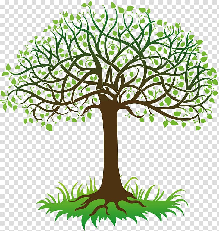 Tree Root , Gradient white transparent background PNG clipart