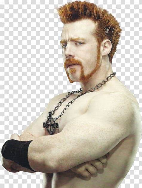 Sheamus Professional wrestling Autograph WWE Martial arts, sheamus transparent background PNG clipart