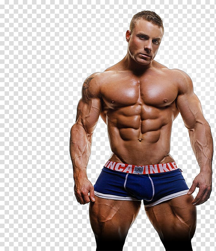 Bodybuilding transparent background PNG clipart