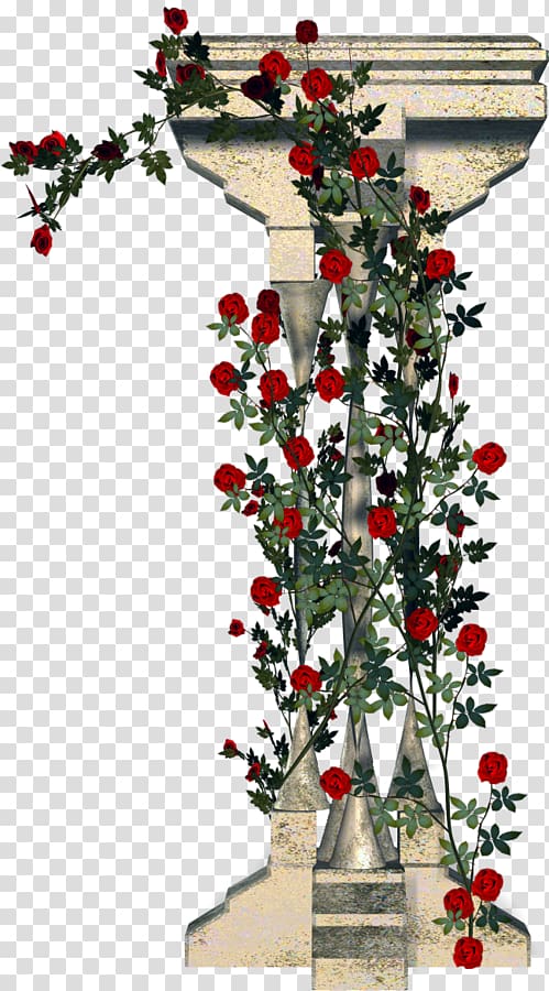 Garden roses Column Rambler-Rose Floral design, column transparent background PNG clipart