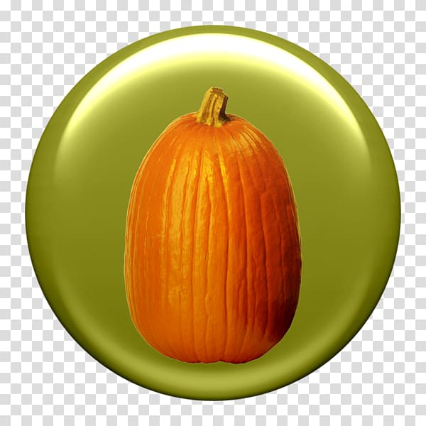 Jack-o\'-lantern Calabaza Pumpkin Gourd, Hand painted round pumpkin material transparent background PNG clipart