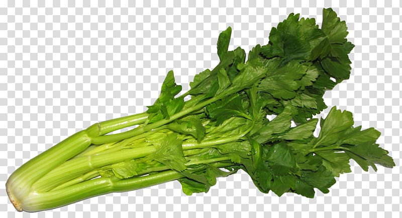 Juice Celeriac Raw foodism Vegetable Eating, Celery transparent background PNG clipart