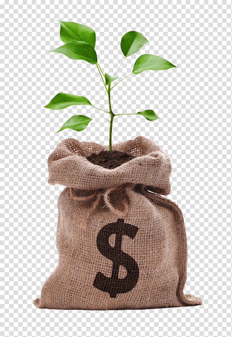 Money bag Saving Coin, money tree transparent background PNG clipart