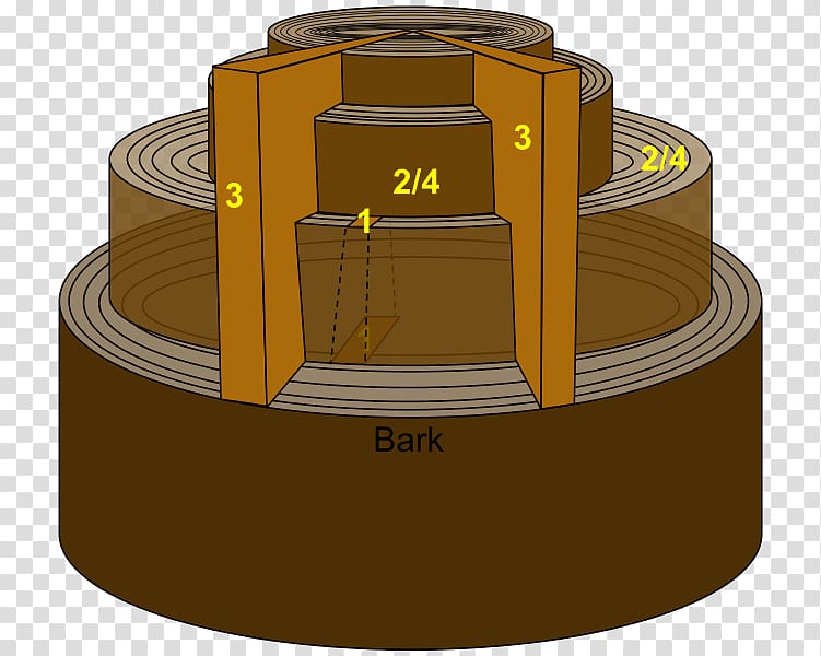 Compartmentalization of decay in trees Arboriculture Resistograph Idea, tree transparent background PNG clipart