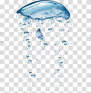 Water Bubble png download - 1000*1808 - Free Transparent Bubble