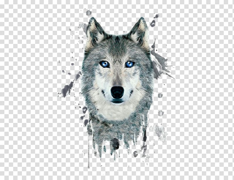 gray and white wolf head illustration, Arctic wolf Poster Black wolf Illustration, Painted wolf transparent background PNG clipart