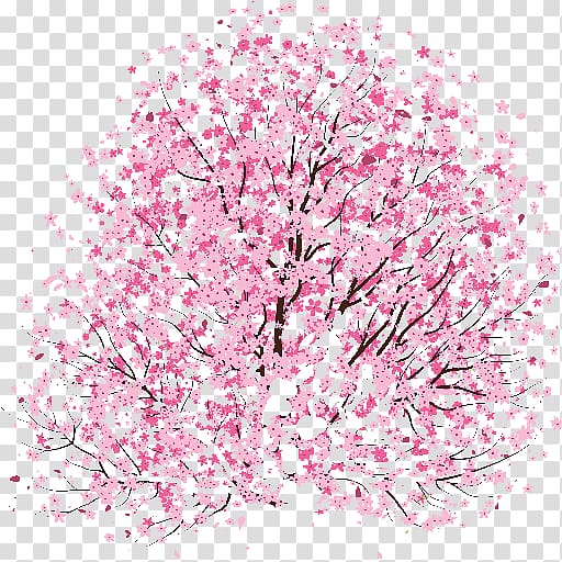 Cherry blossom Drawing Idea , cherry blossom transparent background PNG clipart