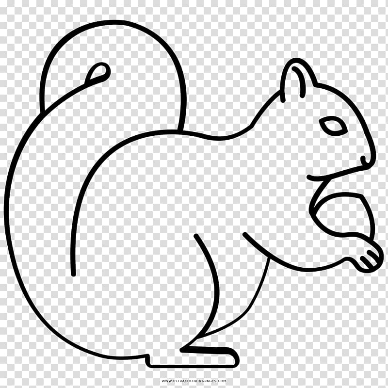 Whiskers Squirrel Rodent Drawing Coloring book, squirrel transparent background PNG clipart