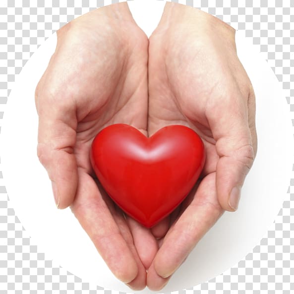 Cardiovascular disease Heart Health Acute myocardial infarction, heart transparent background PNG clipart