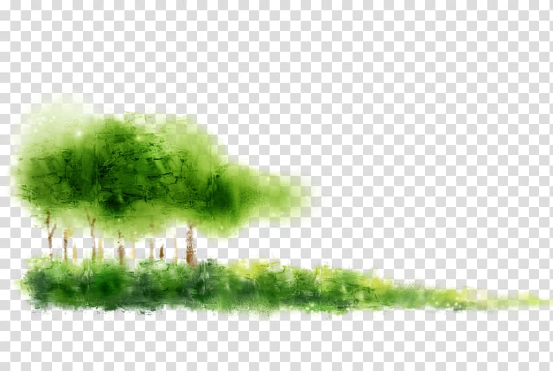 Computer file, Dream woods grass transparent background PNG clipart