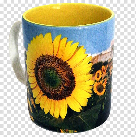 Dandelion coffee Coffee cup Ceramic Flowerpot, ceramic mug transparent background PNG clipart