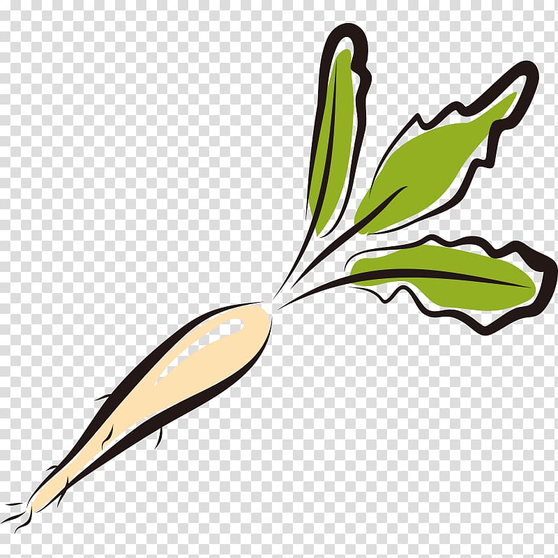 Garden radish Vegetable Illustration, Hand Painted,Stick figure,Fruits and vegetables,vegetables,Fruits and Vegetables,Cartoon transparent background PNG clipart