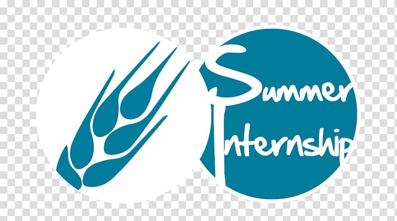 Intern Logo Training Career Brand, internship transparent background PNG clipart