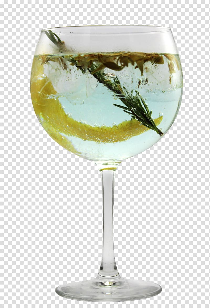 Gin and tonic Cocktail garnish Tonic water, snack transparent background PNG clipart