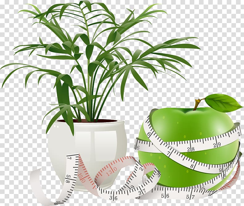 Flowerpot Plant Icon, Painted apple green potted ruler transparent background PNG clipart