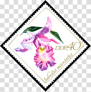 East Germany Postage stamps and postal history of Germany Briefmarken-Jahrgang 1968 der Deutschen Post der DDR, original Stamp transparent background PNG clipart thumbnail