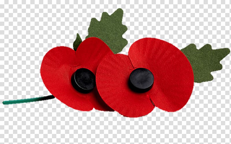 Remembrance poppy The Royal British Legion United Kingdom Armistice Day, poppy transparent background PNG clipart