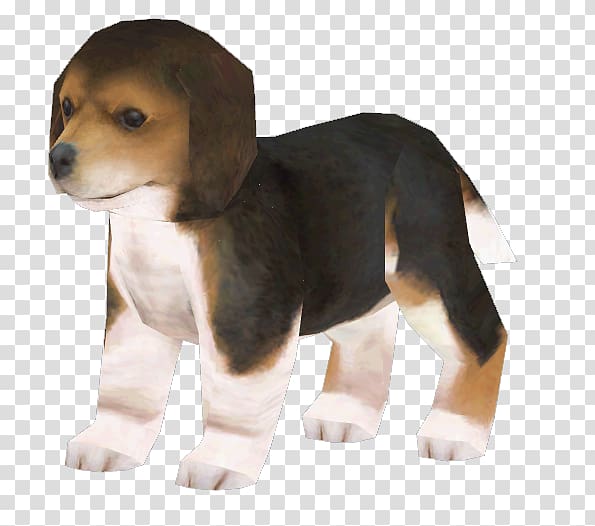 Beagle-Harrier Beagle-Harrier Finnish Hound English Foxhound, puppy transparent background PNG clipart