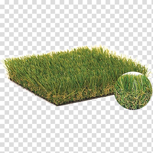Artificial turf Sierra Pacific Industries Square foot Lawn Fiber, turf transparent background PNG clipart