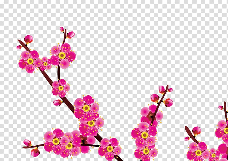 , Plum flower transparent background PNG clipart