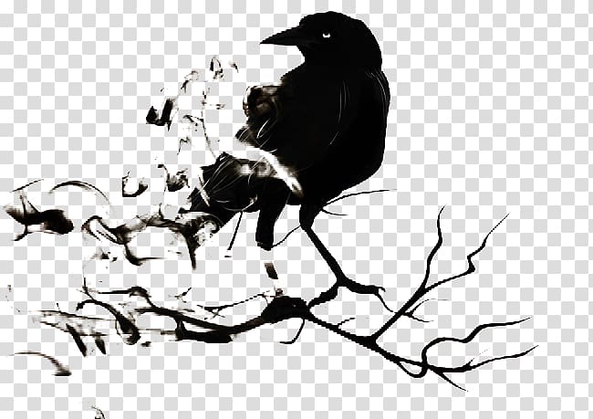 Common raven The Raven Illustration, Halloween elements transparent background PNG clipart