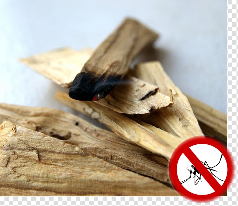 Palo Santo Ittar Musk mallow Incense, Burnt Trees transparent background PNG clipart