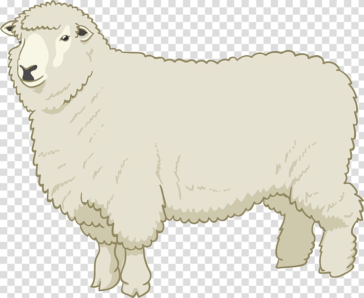 Sheep Drawing, sheep transparent background PNG clipart