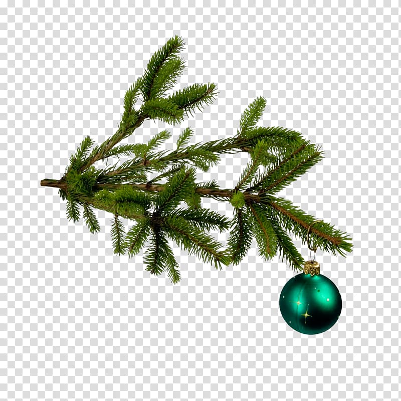 Christmas tree Christmas ornament , Christmas tree decoration transparent background PNG clipart