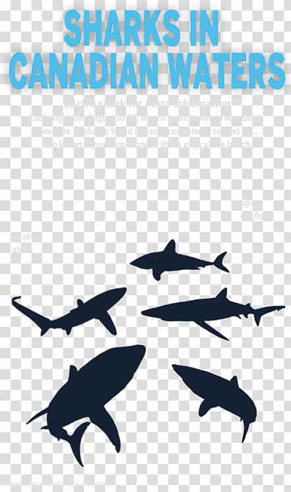 Dolphin Killer whale Shark Logo Font, Shark Week transparent background PNG clipart