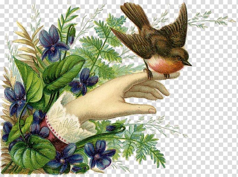 Hummingbird European robin Flower Ceramic, vintage card transparent background PNG clipart