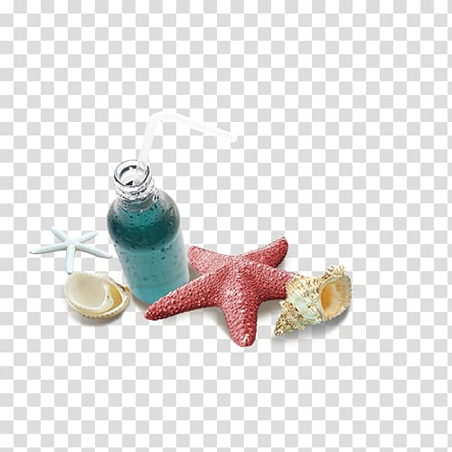 Beach, starfish transparent background PNG clipart