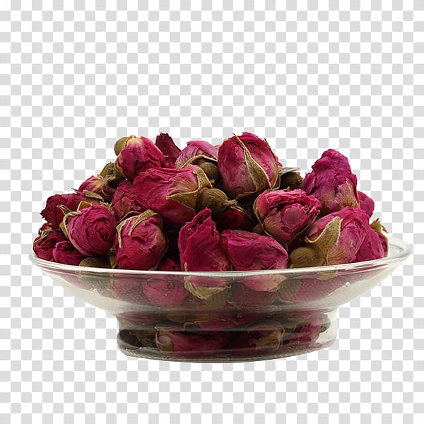 Flowering tea Beach rose Garden roses Pingyin Rose, Rose tea bowl transparent background PNG clipart