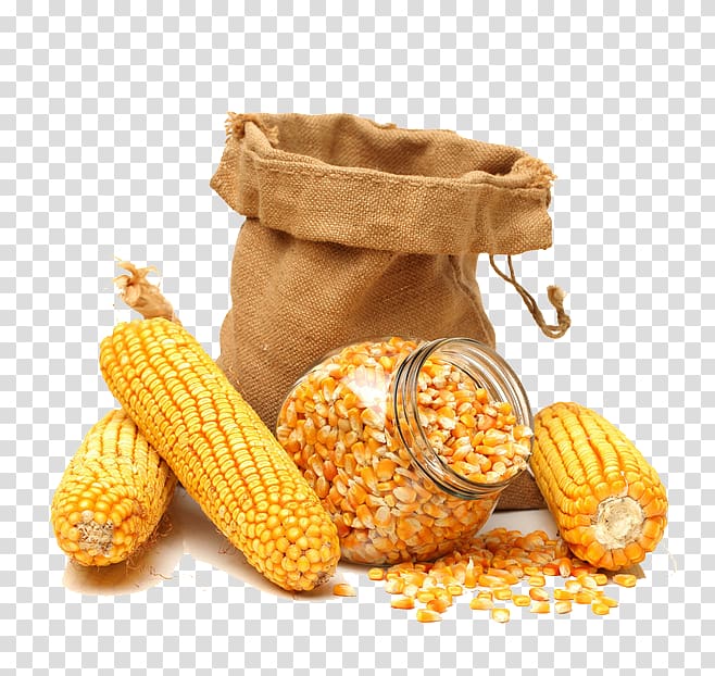 corns and brown pack, Maize Corn on the cob Sweet corn Corn kernel Grain, Golden corn transparent background PNG clipart